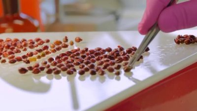 Seminarium w Leśnym Banku Genów Kostrzyca