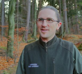 Łoś zawitał w Karkonosze Łoś zawitał w Karkonosze