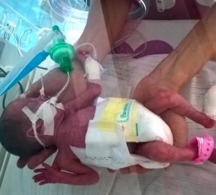 Musisz przeżyć Kajtek