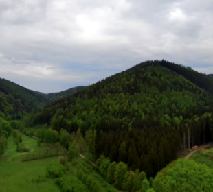 Rezerwat Kruczy Kamień- tu znajdziesz nawet miłość Rezerwat Kruczy Kamień- tu znajdziesz nawet miłość