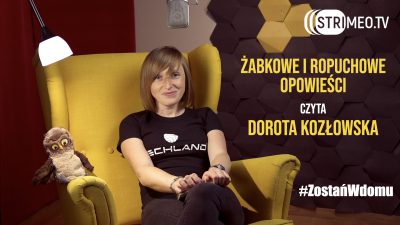 Czytanki – Żabkowe i ropuchowe opowieści