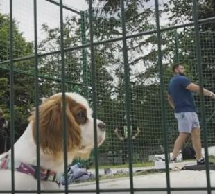 Kulomioci zmęczeni po obozie w Karpaczu Kulomioci zmęczeni po obozie w Karpaczu