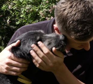 Azyl dla maltretowanych zwierząt powstał w Dziwiszowie