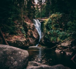 Problemów z KPN ciąg dalszy Problemów z KPN ciąg dalszy