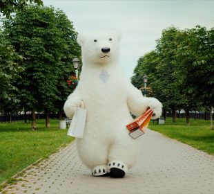 Muflon-włącz kreatywność