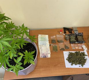 Miał duże ilości narkotyków oraz krzewy konopi. Wpadł w ręce policji.