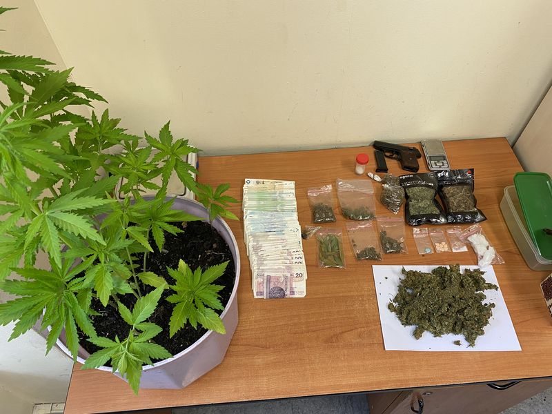 Miał duże ilości narkotyków oraz krzewy konopi. Wpadł w ręce policji.