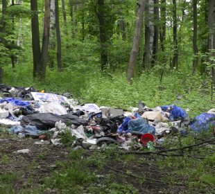 Wysypali śmieci w lesie. Teraz słono za to zapłacą
