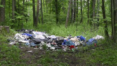Wysypali śmieci w lesie. Teraz słono za to zapłacą