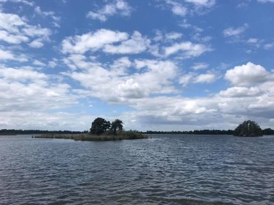 Marszałek pomaga ratować Dolinę Baryczy