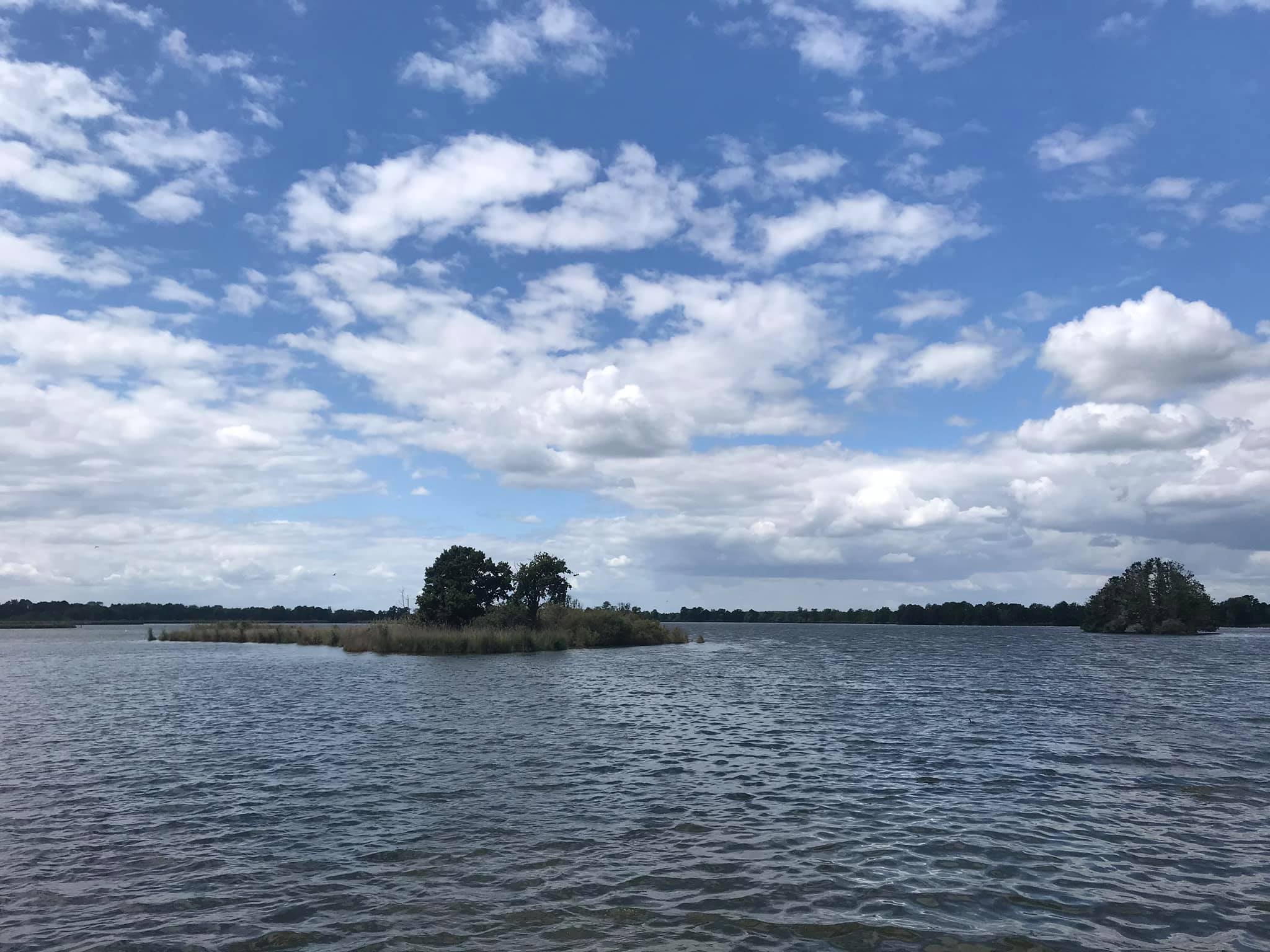 Marszałek pomaga ratować Dolinę Baryczy