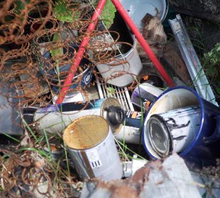 Będą wyższe kary za śmiecenie w lesie?