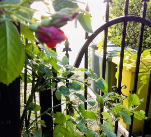 Nie wzrosną ceny za wywóz śmieci w gminie Podgórzyn