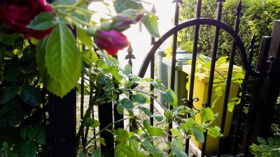 Nie wzrosną ceny za wywóz śmieci w gminie Podgórzyn Nie wzrosną ceny za wywóz śmieci w gminie Podgórzyn