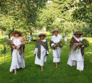 Wiedźmy Karkonoskie