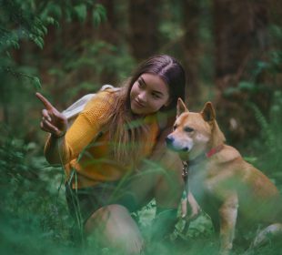 Jak przygotować się do wakacyjnego wyjazdu z psem ?