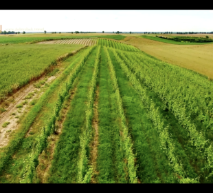 Odc. 4 – Ziemia Trzebnicka