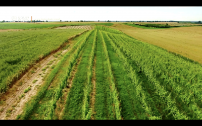 Odc. 4 – Ziemia Trzebnicka