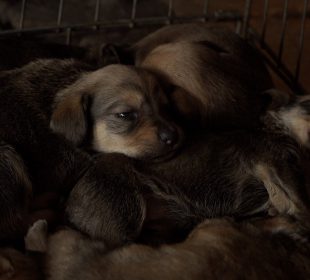 DIOZ zmienia siedzibę