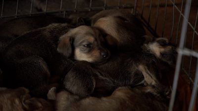 DIOZ zmienia siedzibę