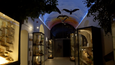 Muzea kością niezgody