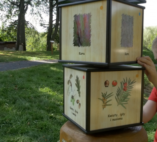 Ścieżka edukacyjno-ekologiczna pn. Rudawski Las w Janowicach Wielkich Ścieżka edukacyjno-ekologiczna pn. Rudawski Las w Janowicach Wielkich