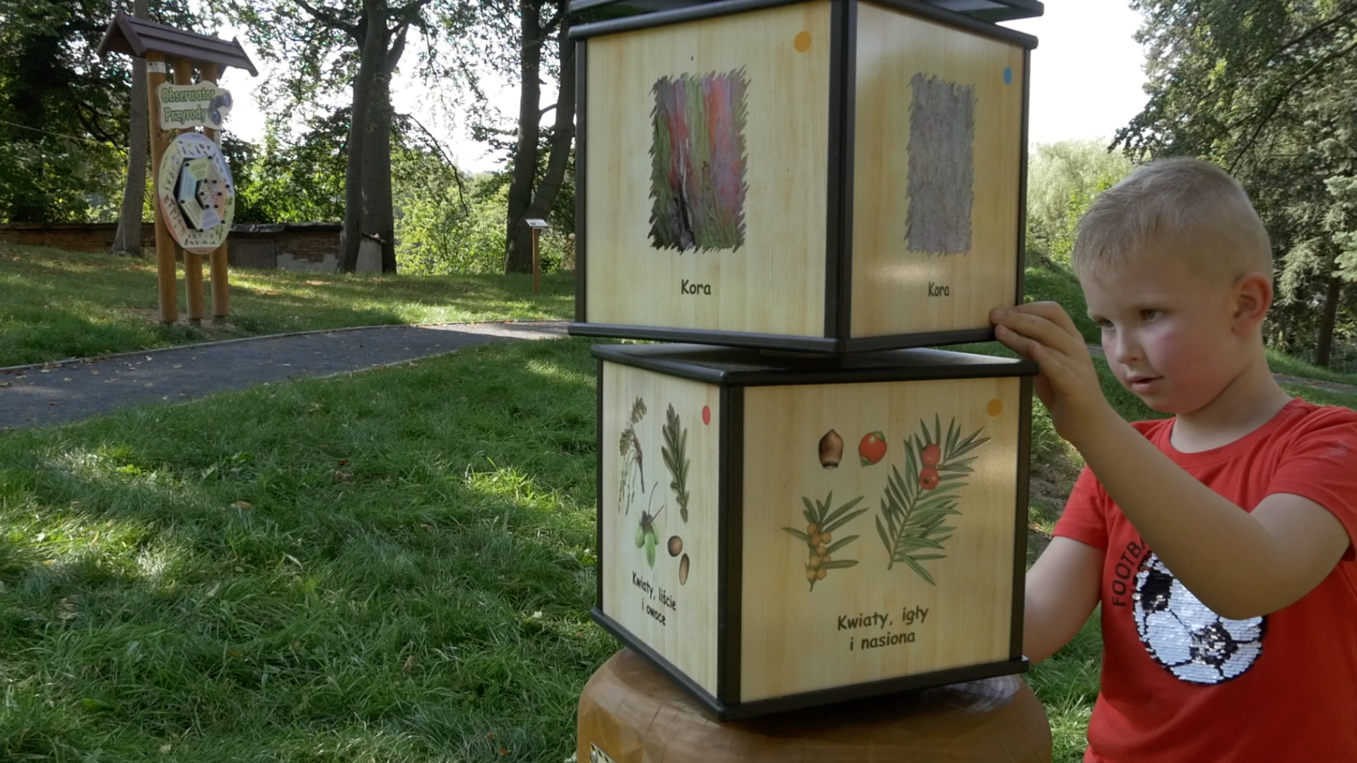 Ścieżka edukacyjno-ekologiczna pn. Rudawski Las w Janowicach Wielkich