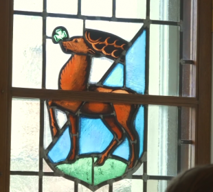 Muzea kością niezody