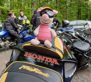 Pomóżmy czworonogom, czyli kolejna edycja Moto Łapy Pomóżmy czworonogom, czyli kolejna edycja Moto Łapy