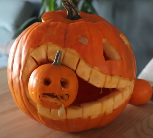 Jak wyciąć dynię na Halloween?