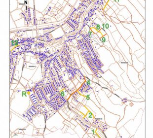 Wybierz patrona ulicy!