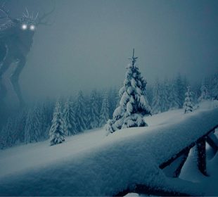 Tajemniczy Bestiariusz w bibliotece