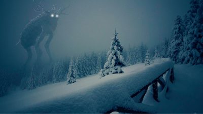 Tajemniczy Bestiariusz w bibliotece