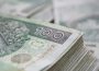 Rządowe dofinansowanie dla jeleniogórskich klubów