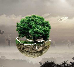 Smogowe płuca w Jelenie Górze Smogowe płuca w Jelenie Górze