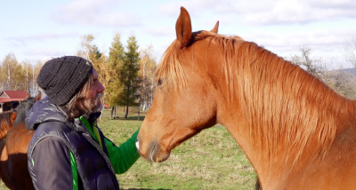 Historia niezwykłej przyjaźni Historia niezwykłej przyjaźni