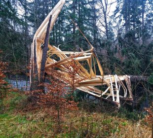 Nadleśnictwo “Śnieżka” informuje o okresowym zakazie wstępu do lasu.