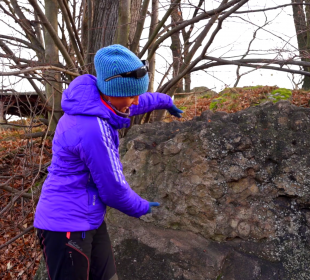 Pierwszy na świecie opis granitu kulistego pochodzi z Jeleniej Góry
