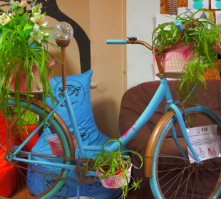 W Mysłakowicach powstają ciekawe kwietniki