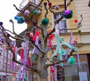 “Rzemiosła” ozdobiły platany na Skwerze Lwowskim “Rzemiosła” ozdobiły platany na Skwerze Lwowskim