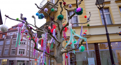 “Rzemiosła” ozdobiły platany na Skwerze Lwowskim