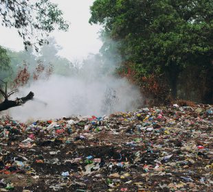 Świat tonie w plastiku.Rezygnacja z „foliówek” może pomóc środowisku