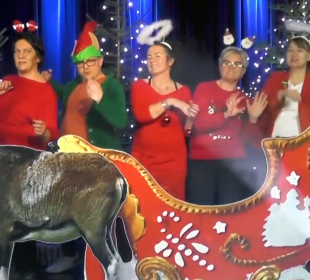 Wyjątkowa piosenka jeleniogórskich domów kultury