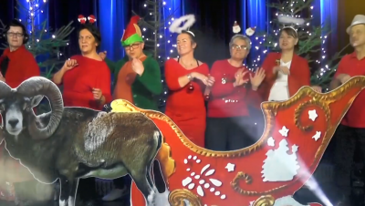 Wyjątkowa piosenka jeleniogórskich domów kultury