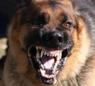 Akt oskarżenia przeciwko Stanisławowi T.