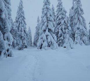 Ciężkie warunki na szlakach