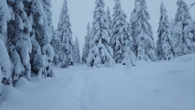 Ciężkie warunki na szlakach