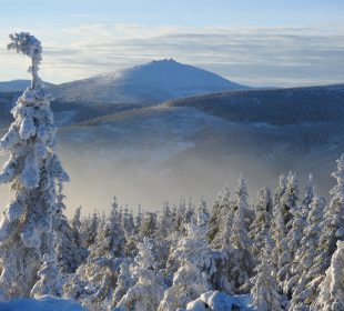 16 stycznia dniem bez opłat w KPN