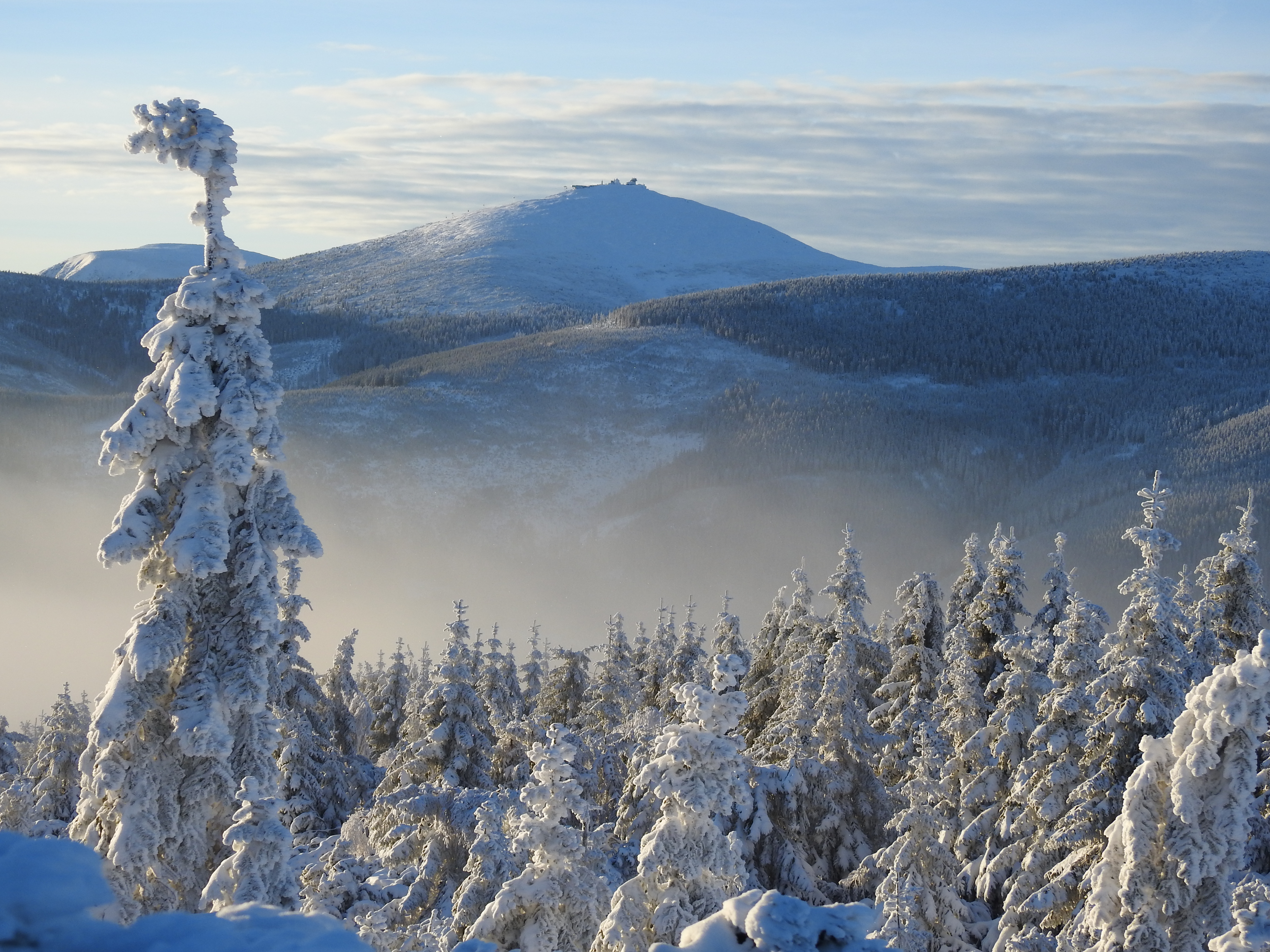 16 stycznia dniem bez opłat w KPN