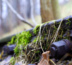 Pociągiem do Karpacza pojedziemy w 2023 roku